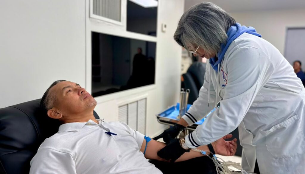 Banco de Sangre: así es el proceso de captación de donantes y soporte transfusional